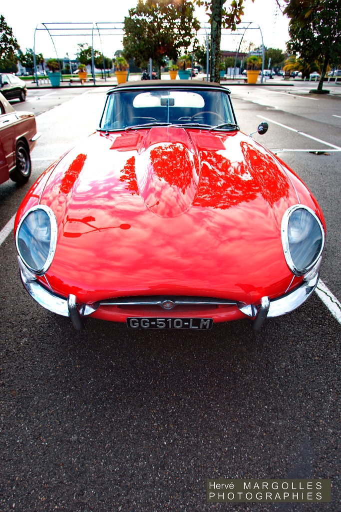 Jaguar Type E_03.jpg